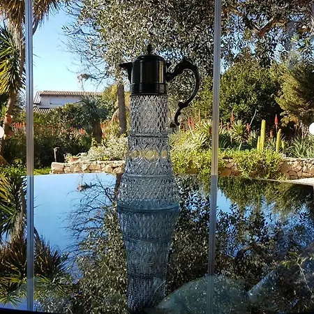 Holiday home Le Radici Copertino