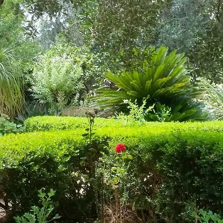 Holiday home Le Radici Copertino